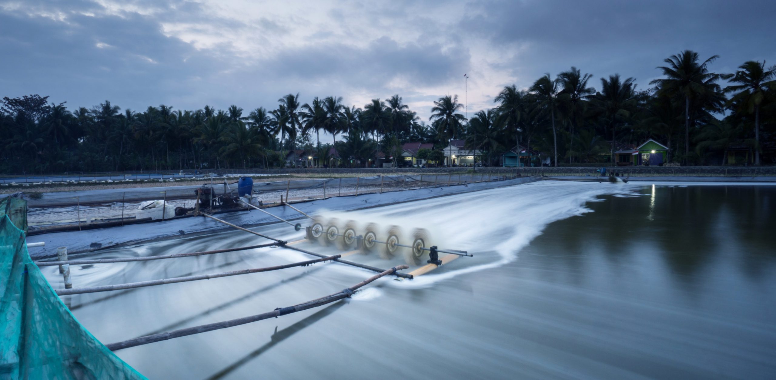 Finding solutions for the restrictions in aquaculture industry in Vietnam