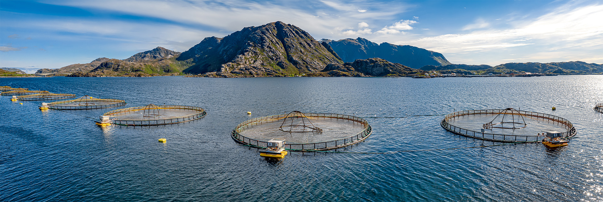 Breakthrough to increase productivity and create new directions with the 4.0 aquaculture model