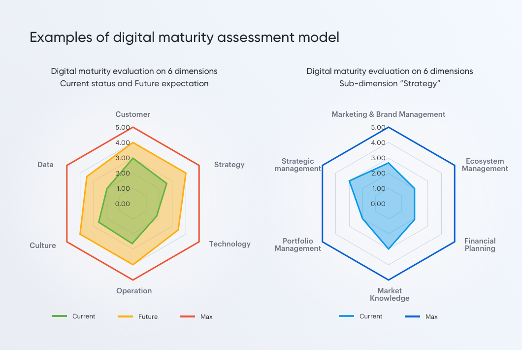 Examples of digital maturity model for assessment