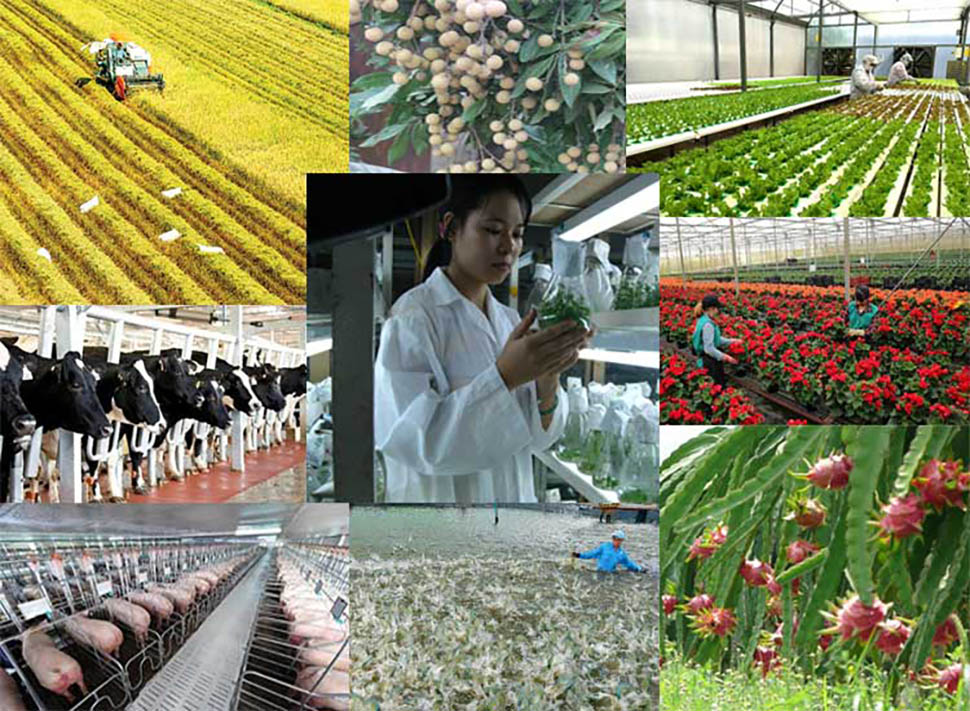Chuyển đổi số trong ngành nông nghiệp ở Việt Nam diễn ra trên nhiều lĩnh vực.